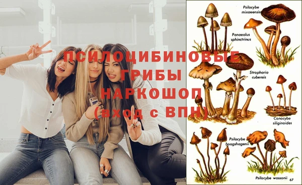 jwh Касимов