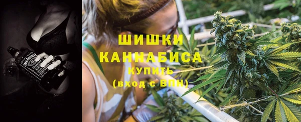 мдпв Киреевск